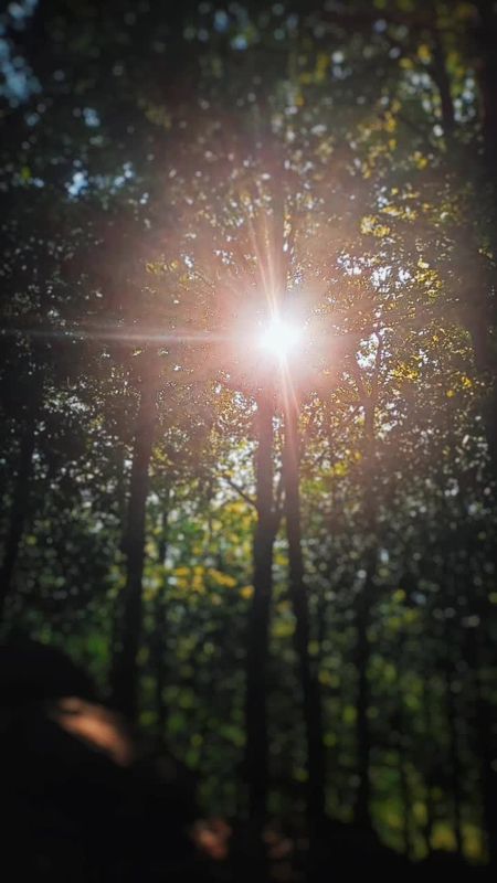 Fotografia di Alessio Gaetano 3
