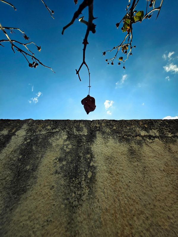 Fotografia di Alessio Gaetano 22