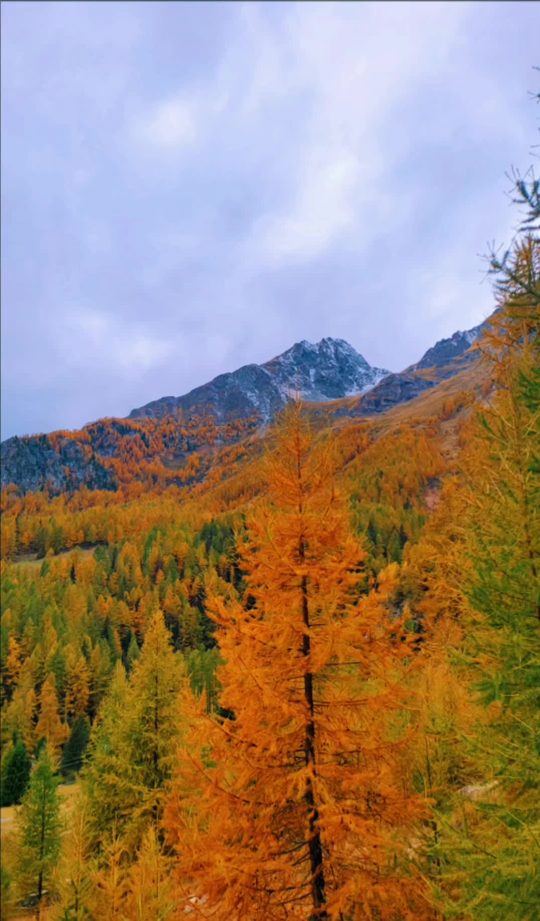 Montagne d’autunno